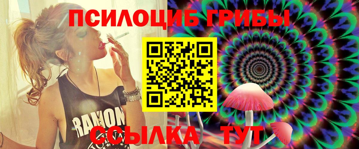Псилоцибиновые грибы Psilocybine cubensis  Вход с VPN  Псилоцибиновые грибы Magic Shrooms  Похвистнево 